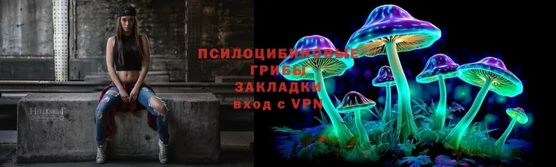 купить наркотики цена  Усть-Лабинск  Псилоцибиновые грибы Cubensis 